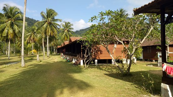 d-coconut-resort