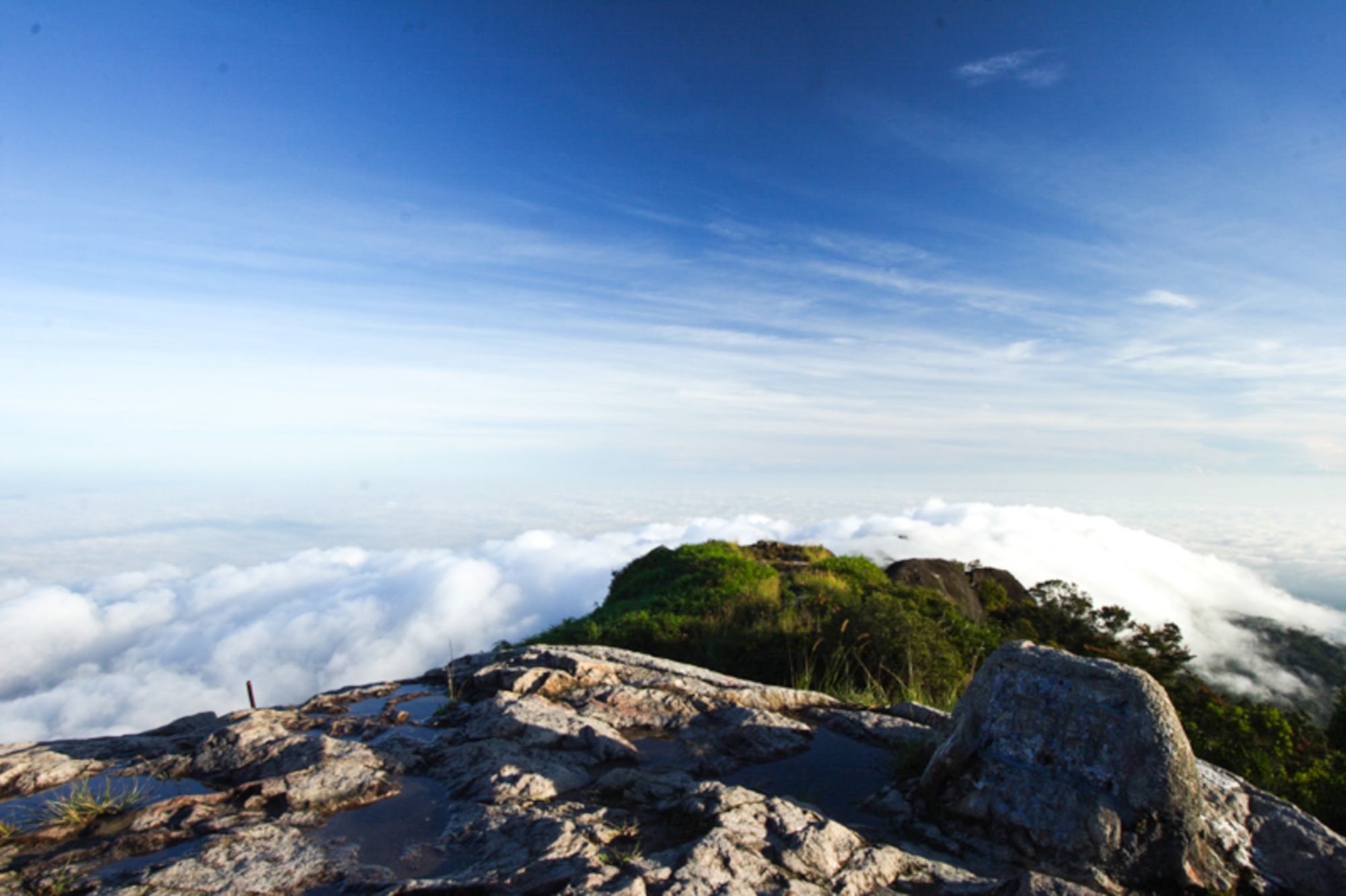 Tangkak Gunung Ledang(Mount Ophir) - Summit Attack Day 