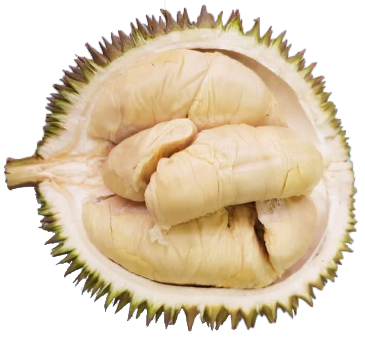 JB Pulai Durian Farm Buffet Package – Mango Vacations
