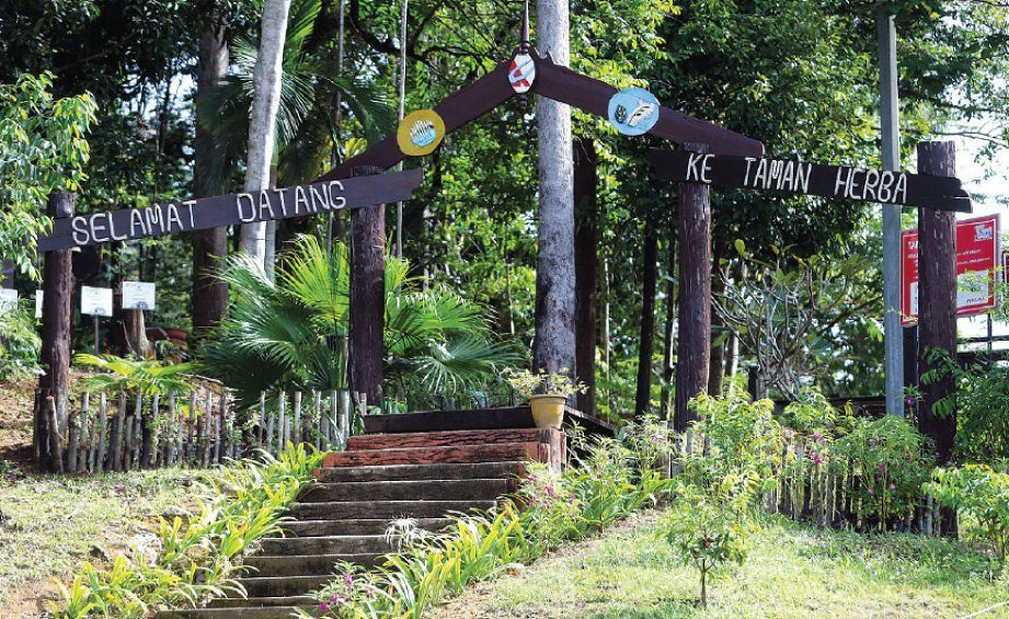 Kenyir Taman Herba