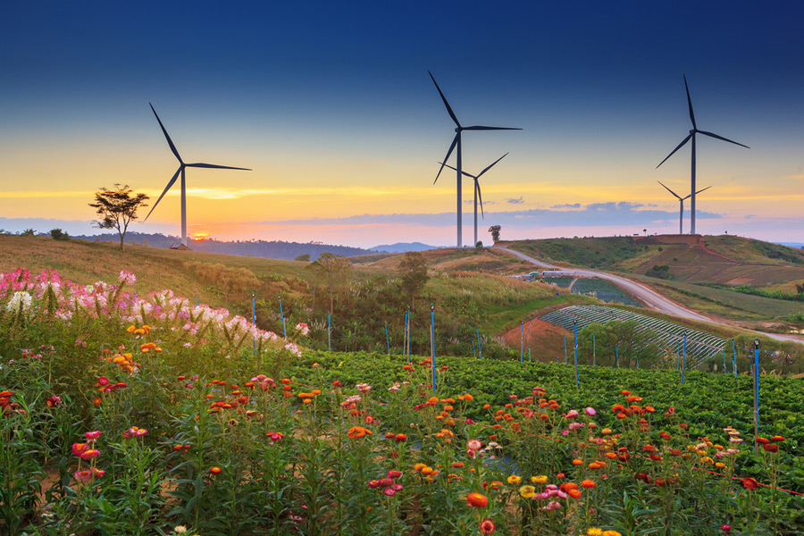 Khao Kho Windmill Field