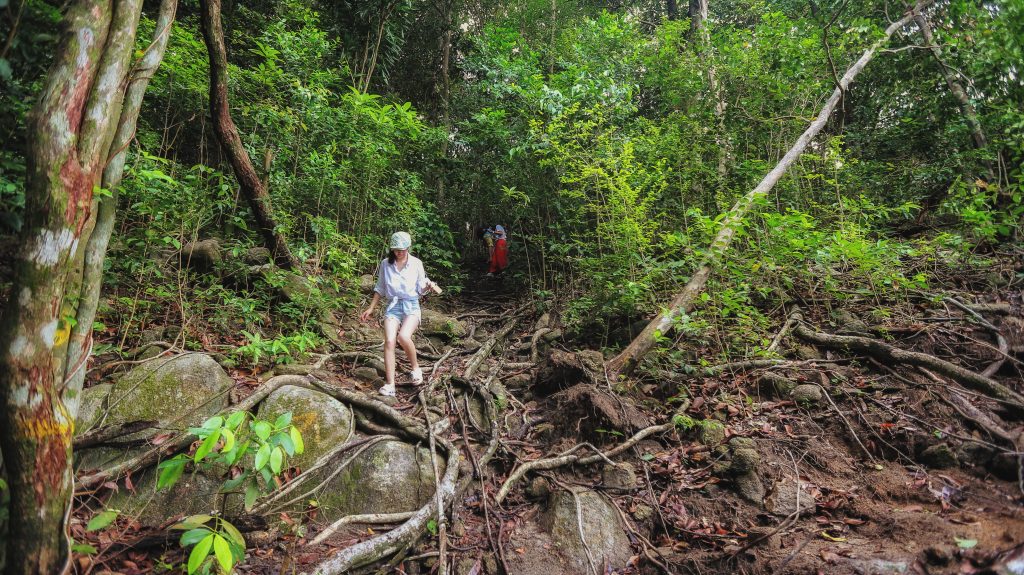 Summer Bay Lang Tengah Jungle Trekking