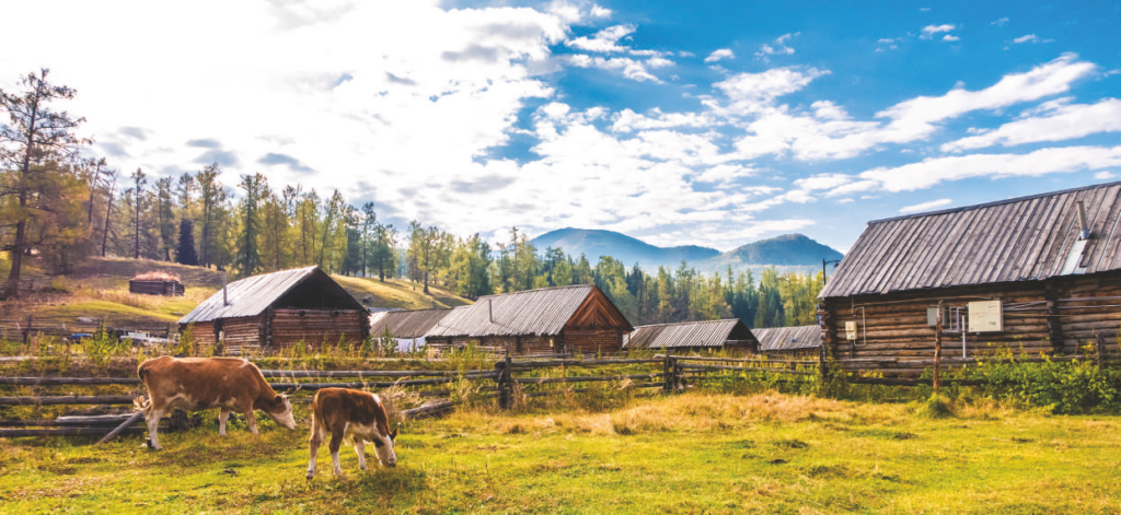 Northern Xinjiang 2