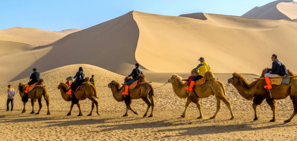 silk road 2