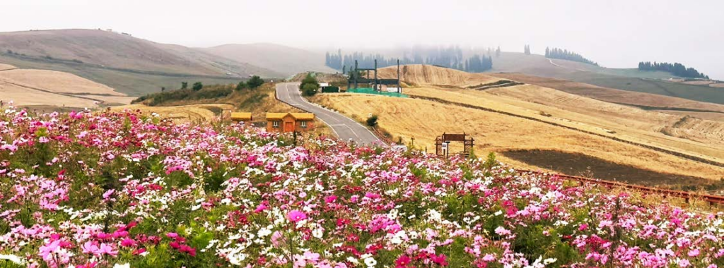 encounter northern xinjiang 17