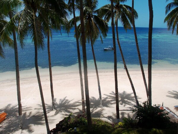 bohol white sand beach 2