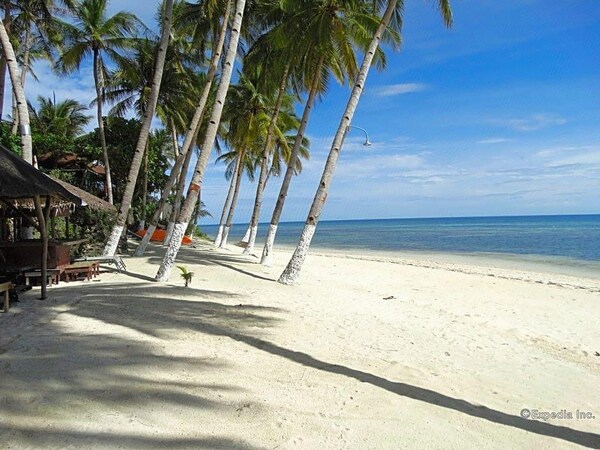 bohol white sand beach 3