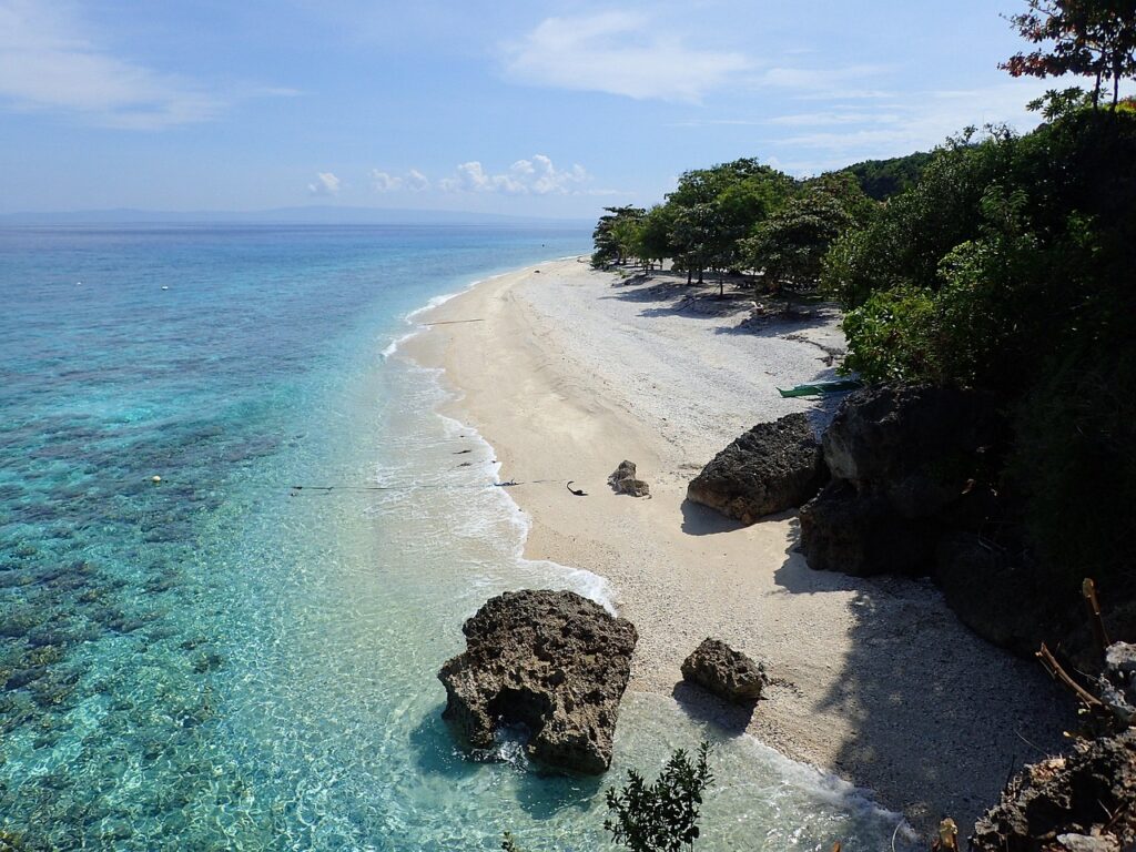 cebu oslob beach