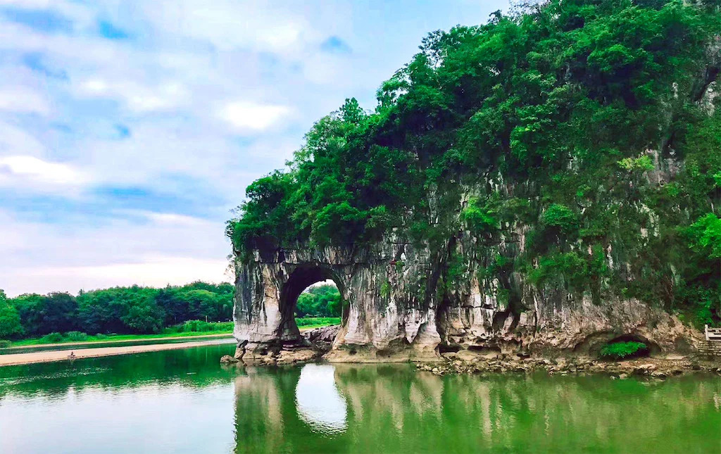 guilin elephant trunk(1)
