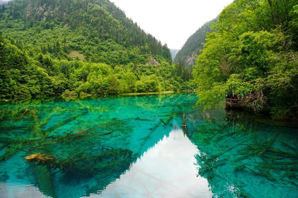 chengdu jiuzhaigou by msz010dzeta