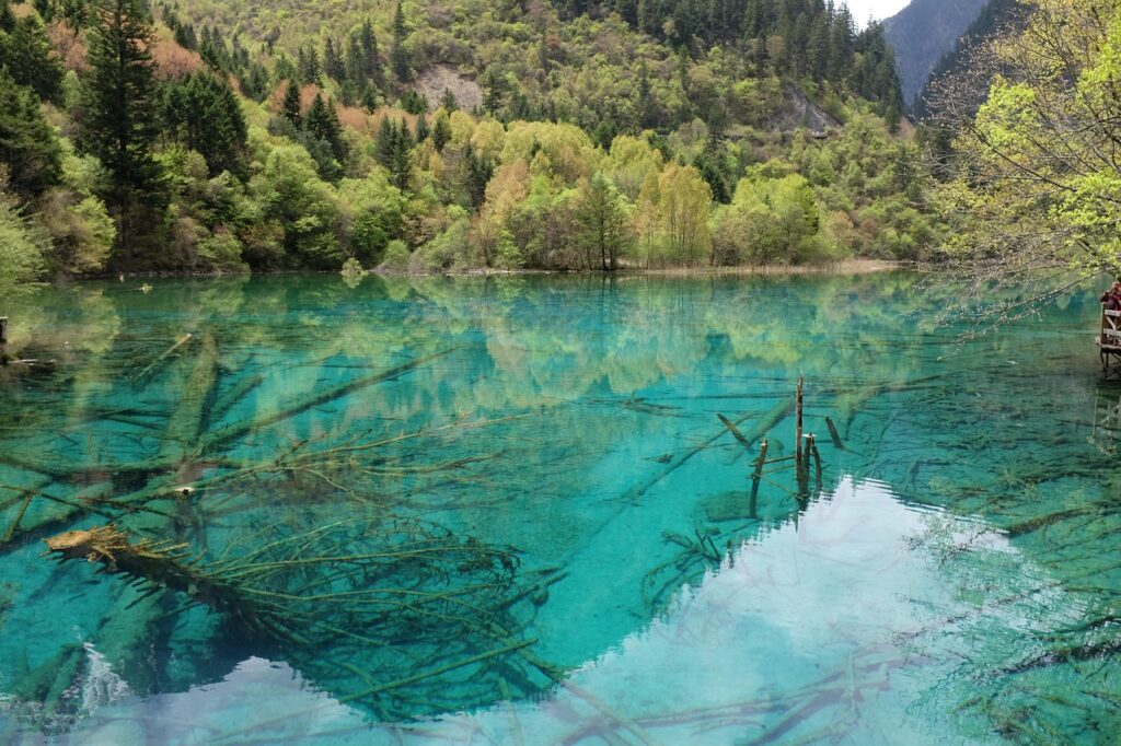 chengdu jiuzhaigou by playon0209