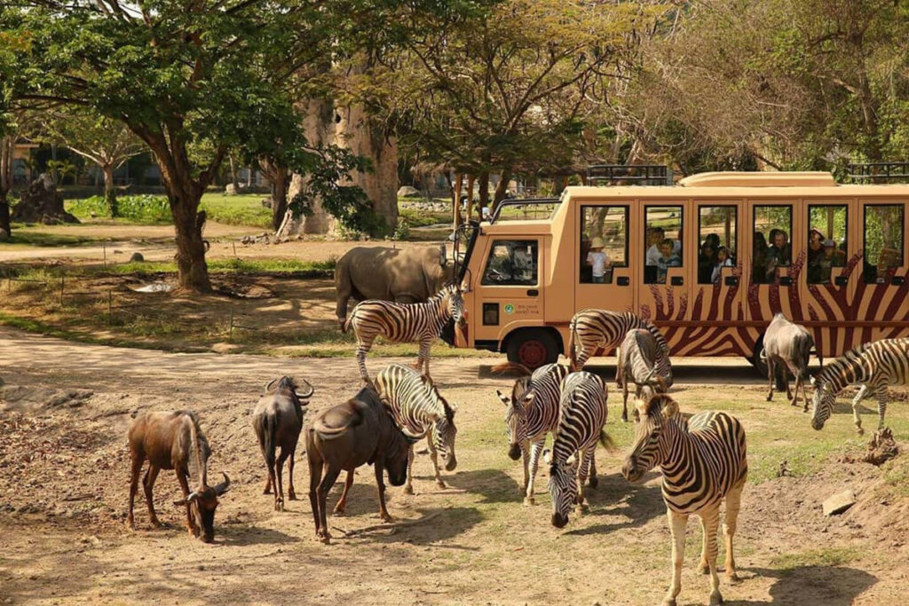 surabaya safari prigen