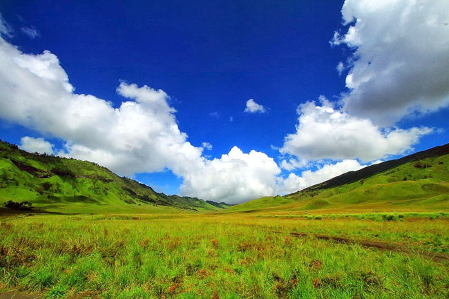 surabaya teletubbies savanna