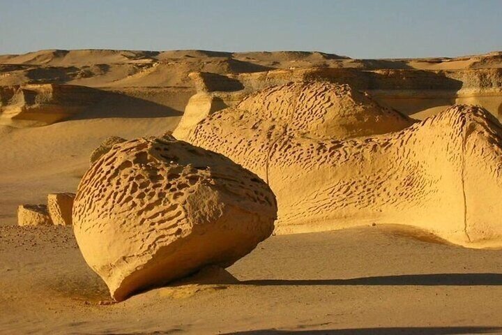 Egypt 法尤姆绿洲