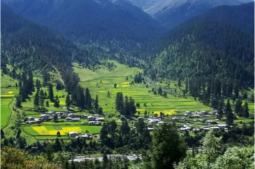 Tibet 鲁朗林海