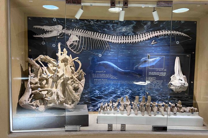 egypt 鲸鱼谷博物馆