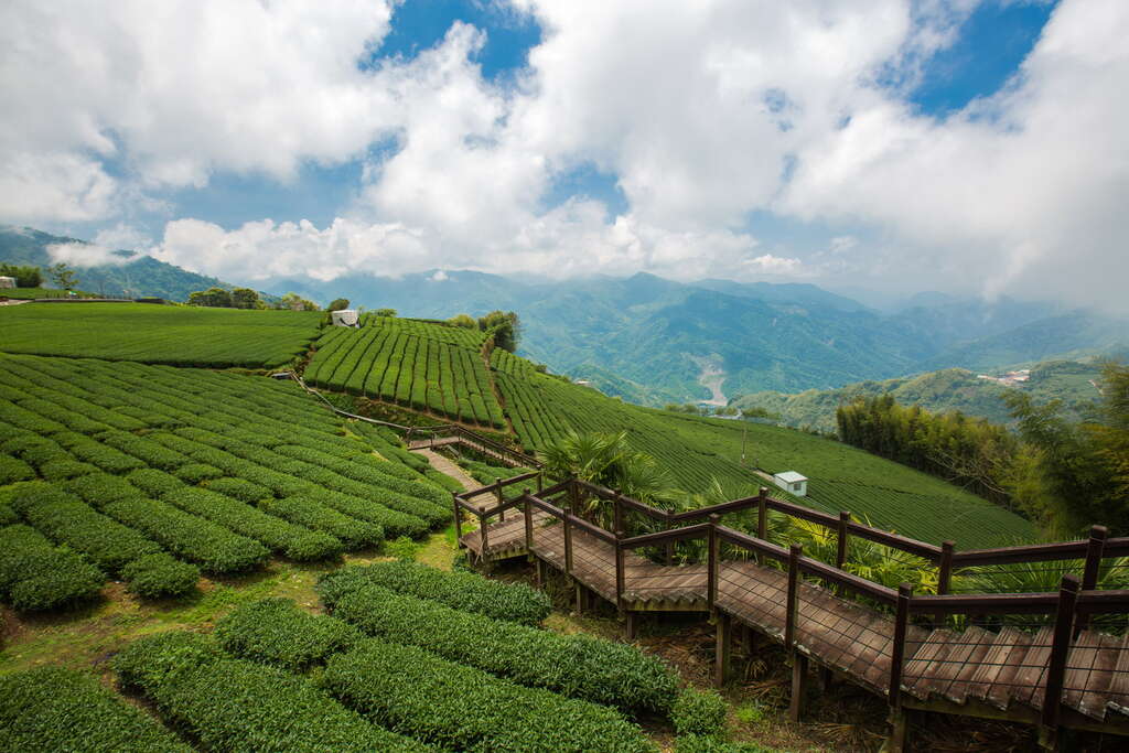taiwan hiking 1