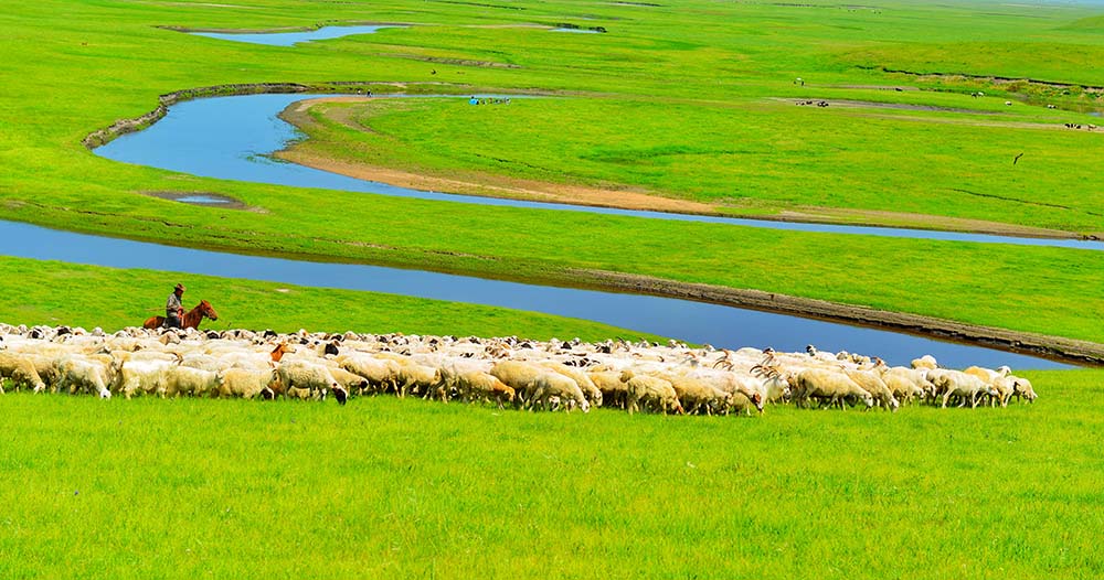 Inner Mongolia 莫尔格勒河