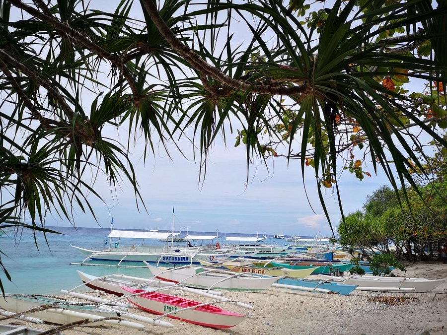 bohol balicasag island