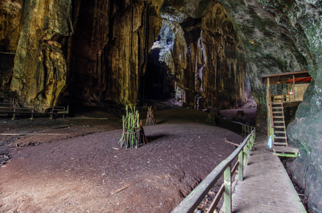 Gomantong cave