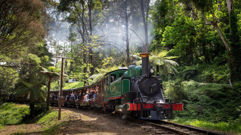 Puffing Billy Steam Train(1)