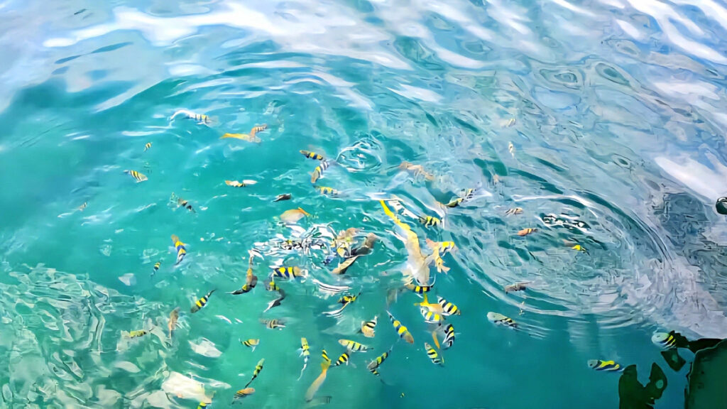 Mersing Island Hopping_05