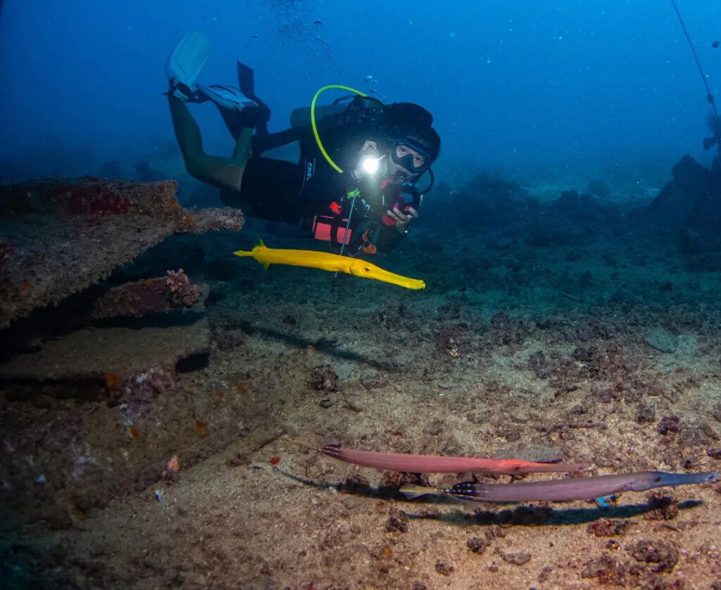 Copy of Copy of 3D2N – 1