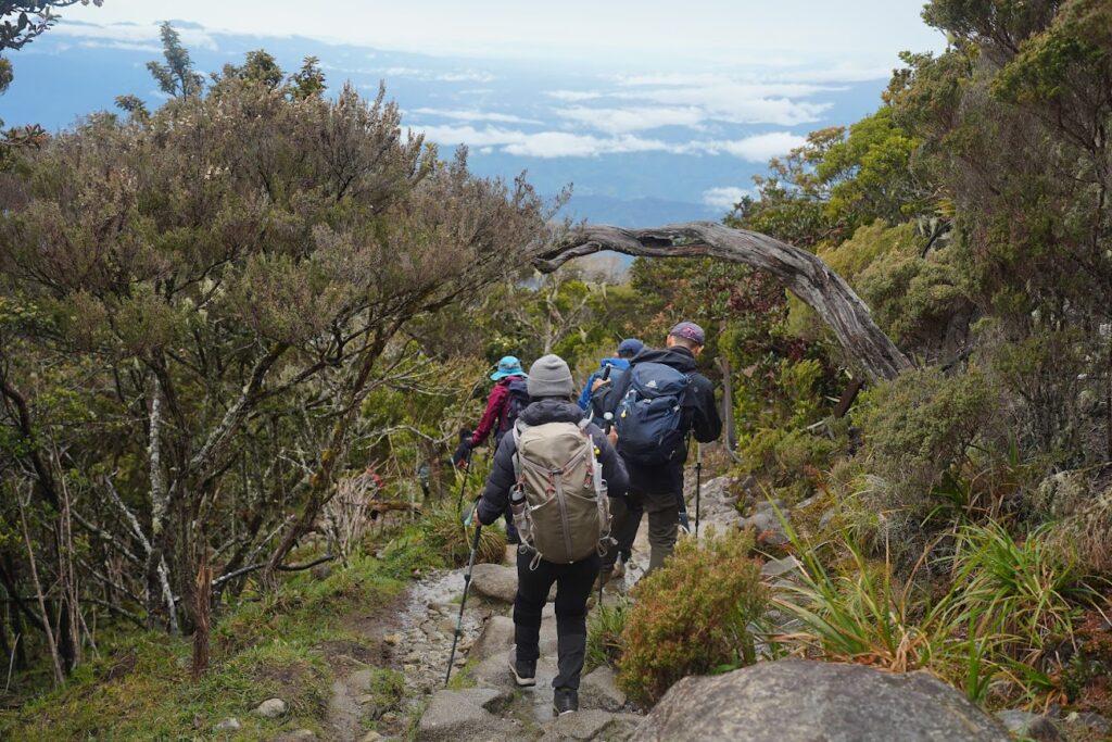 MT Kinabalu-08