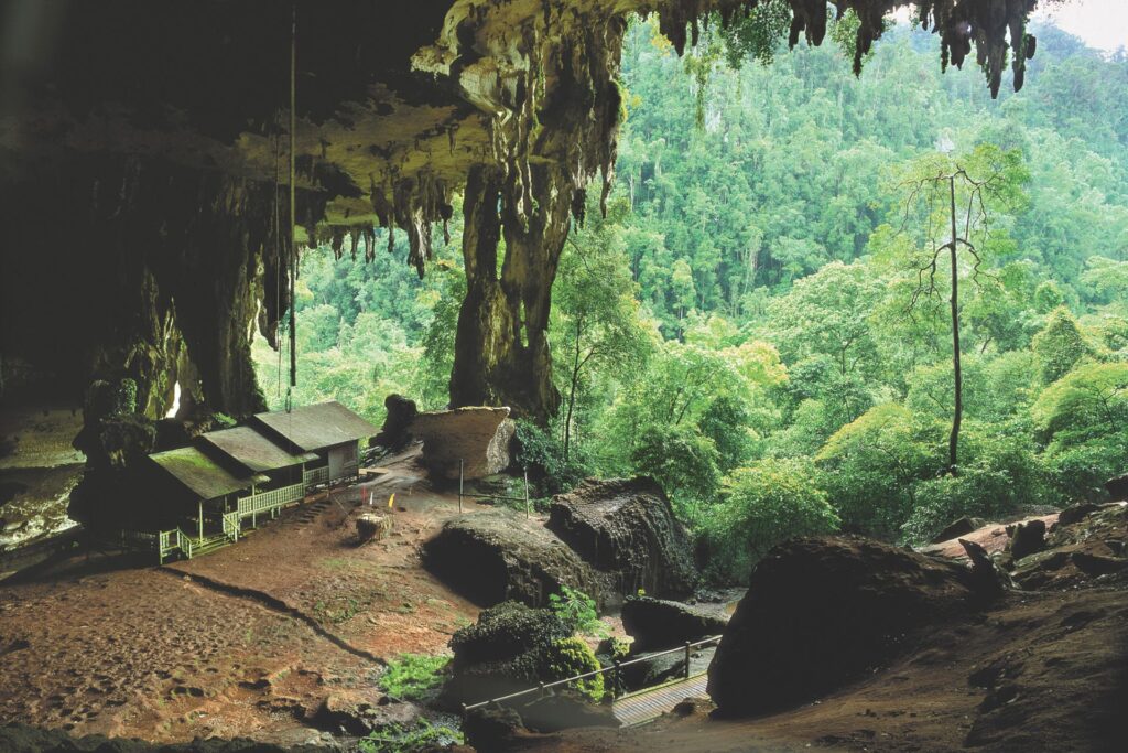 miri niah national park