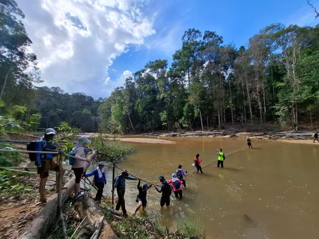 Endau Rompin National Park (4)