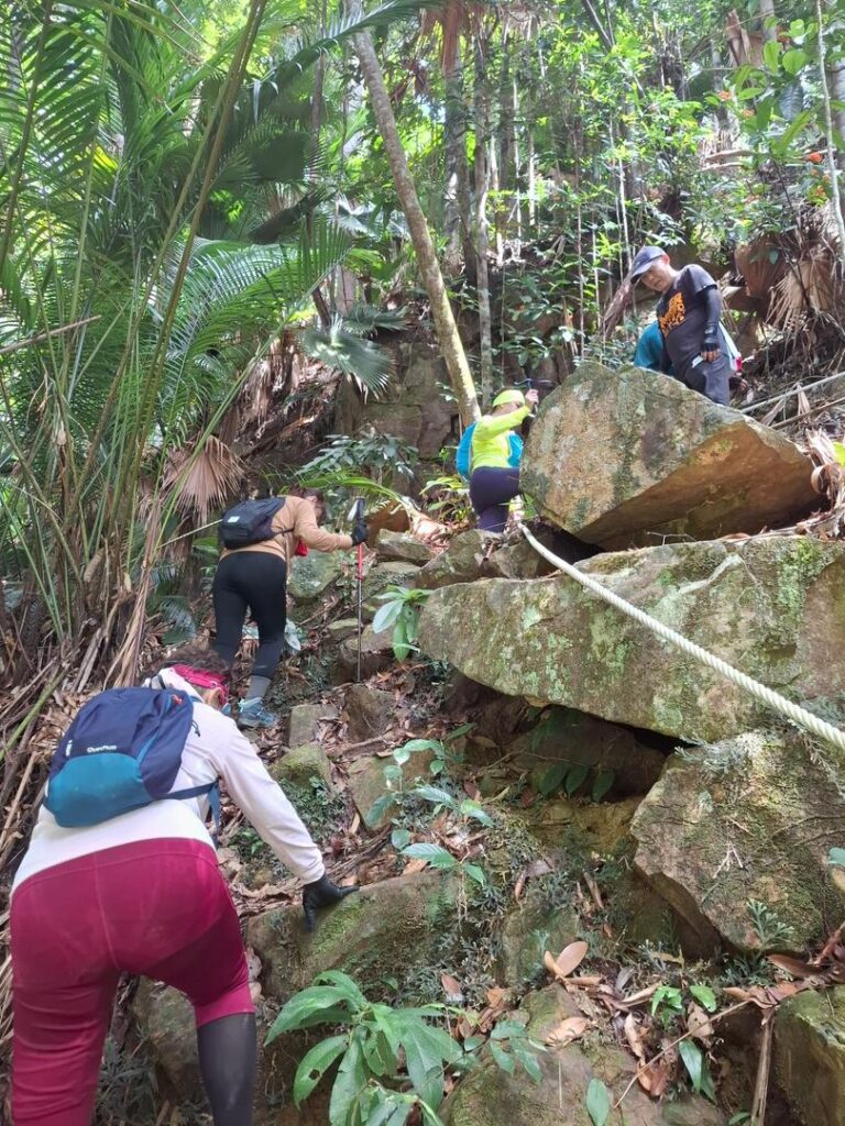 Endau Rompin National Park (8)