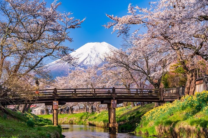 Mount Fuji