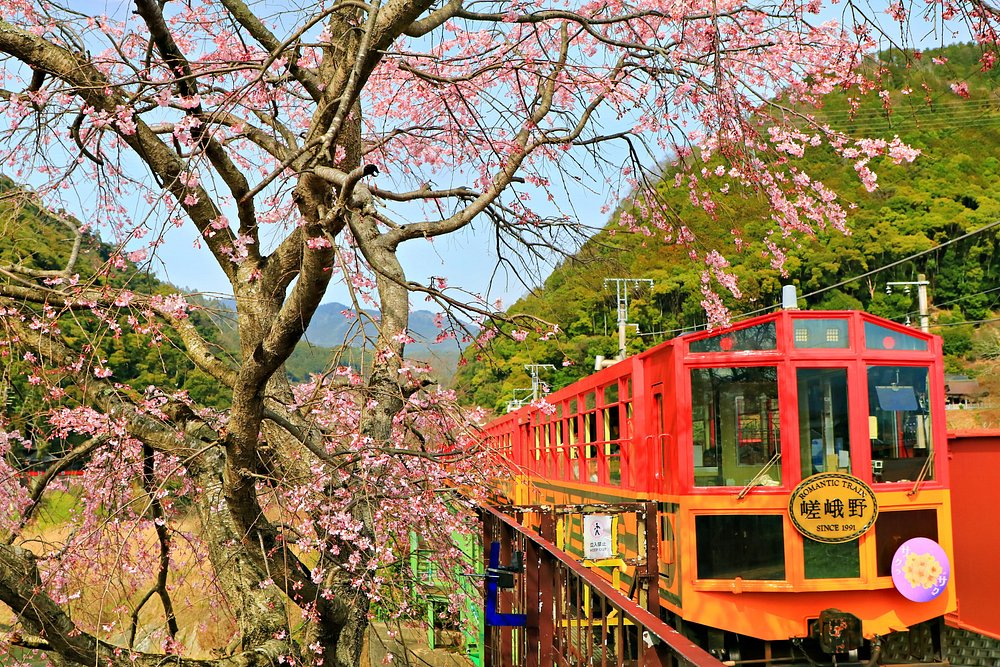 嵯峨野小火车