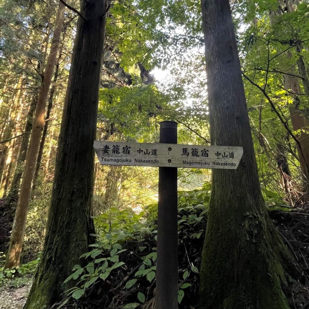马笼宿 （2）