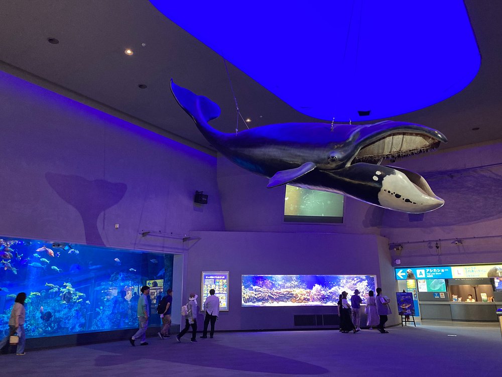 鸟羽水族馆 （2）