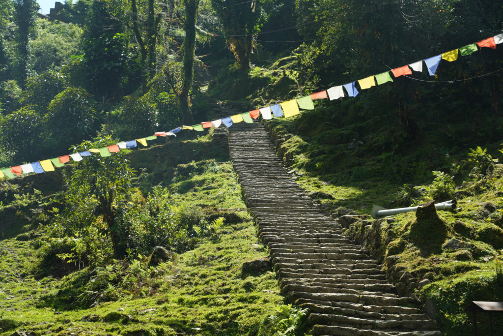 Nepal Annapurna Base Camp （7）