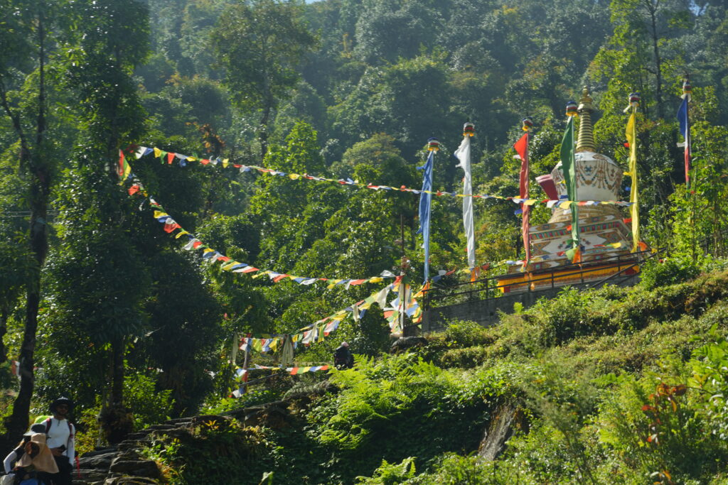 Nepal Annapurna Base Camp （8）
