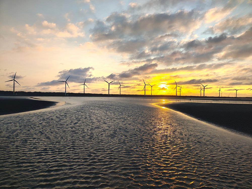 高美湿地