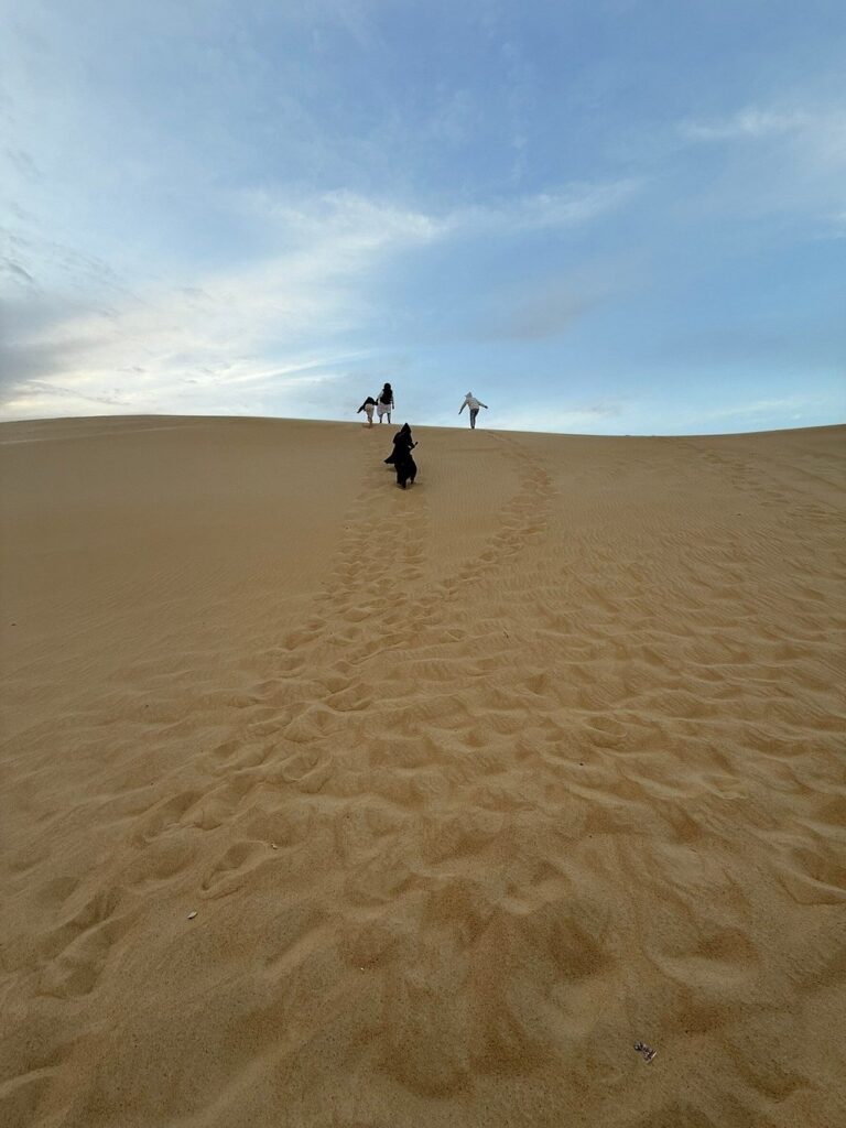 撒哈拉沙漠滑沙 （1）