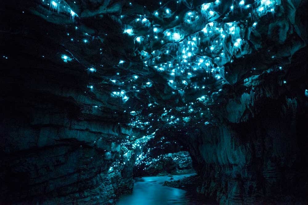Waitomo Glowworm Caves （1）