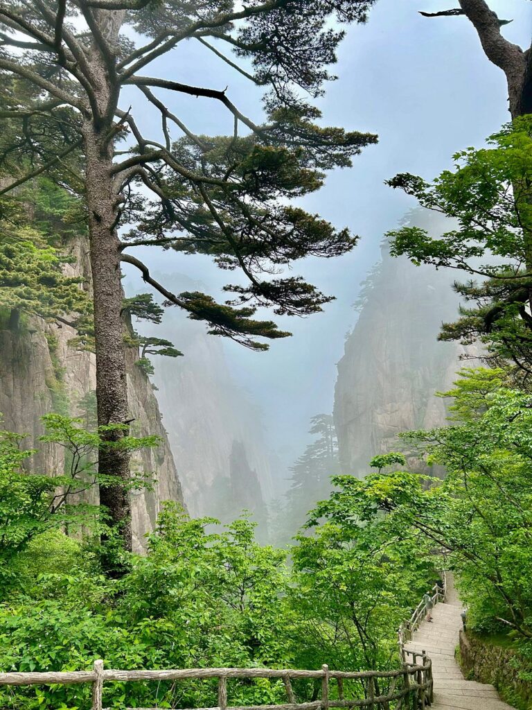 黄山风景区（3）